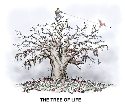 The Tree of Life - with a man at the top of it shooting wildlife.