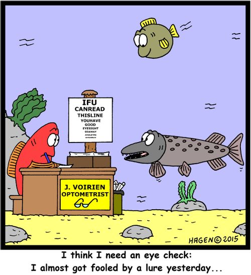 "I think I need an eye check: I almost got fooled by a lure yesterday..."