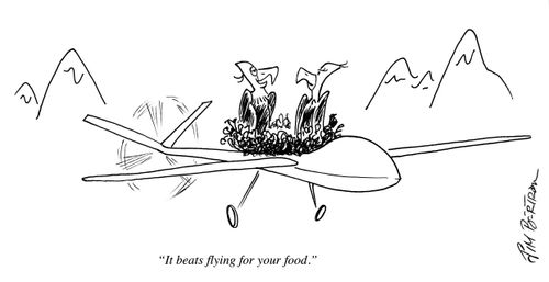 "It beats flying for your food."