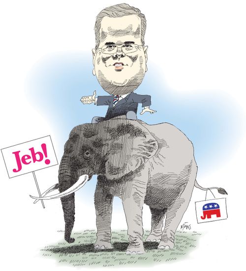 Jeb Bush