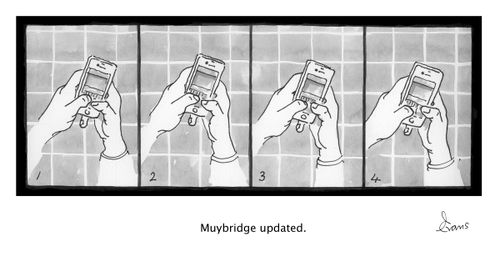 Muybridge updated.