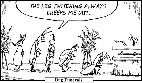 Bug Funerals