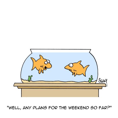 "Well, any plans for the weekend so far?"