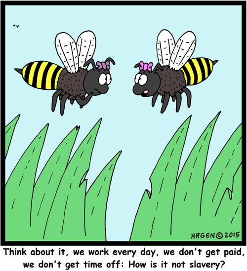"Think about it, we work every day, we don't get paid, we don't get time off: How is it not slavery?"