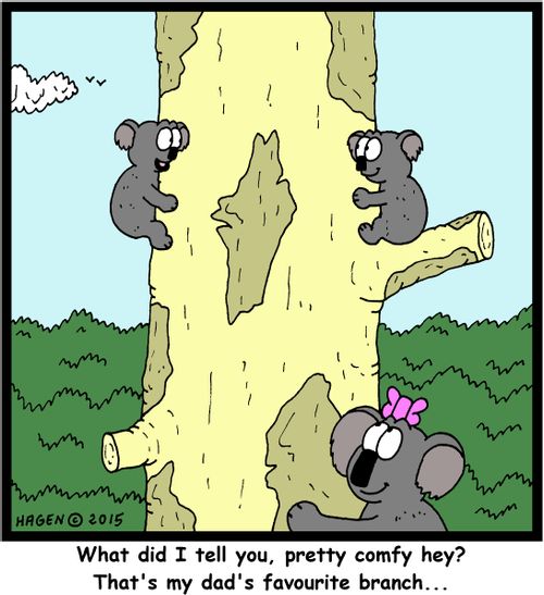 "What did I tell you, pretty comfy hey? That's my dad's favourite branch..."