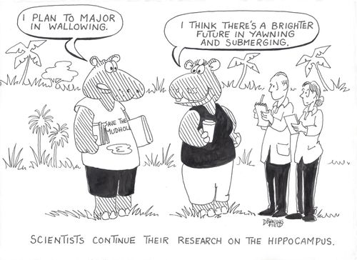 Scientists continue their research on the Hippocampus.