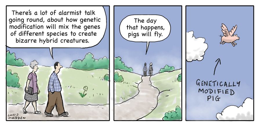 "There's a lot of alarmist talk going round, about how genetic modification will mix the genes of different species to create bizarre hybrid creatures."