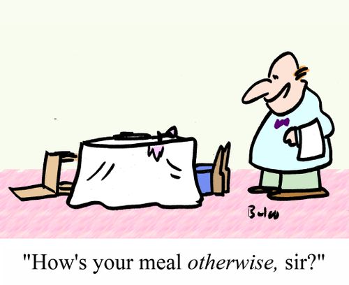 "How's your meal OTHERWISE, sir?"