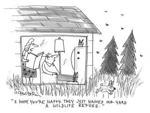 "I hope you're happy. They just named our yard a wildlife refuge."