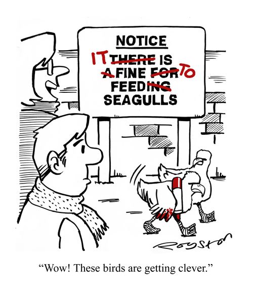 "Wow! These birds are getting clever."