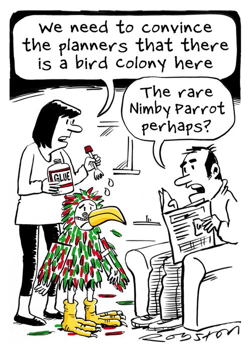 "We need to convince the planners that there is a bird colony here."