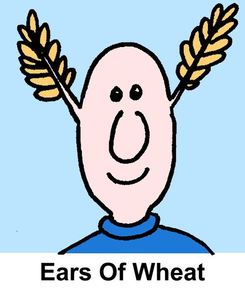 Ears Of Wheat