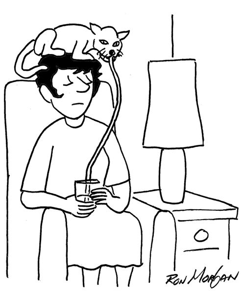 Cat sitting atop sleeping woman's head uses long straw to drink from glass in her lap.