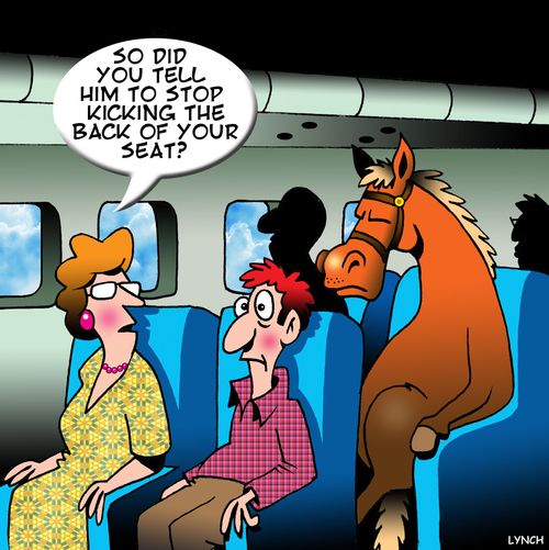 "So did you tell him to stop kicking the back of your seat?"