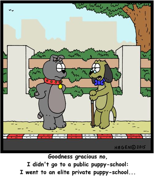 "Goodness gracious no, I didn't go to a public puppy-school: I went to an elite private puppy-school..."