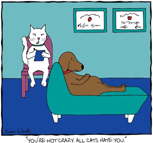 "You're not crazy. All cats hate you."