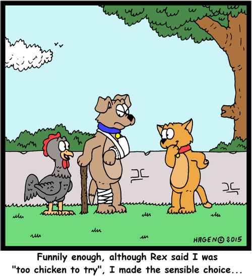 "Funnily enough, although Rex said I was "too chicken to try", I made the sensible choice..."