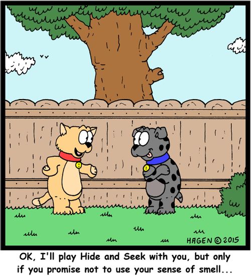 "OK, I'll play Hide and Seek with you, but only if you promise not to use your sense of smell..."
