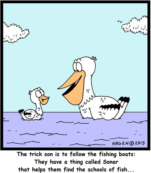 "The trick son is to follow the fishing boats: They have a thing called Sonar that helps them find the schools of fish..."