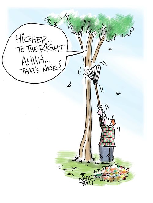 "Higher...to the right. Ahhh...that's nice!"