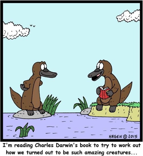 "I'm reading Charles Darwin's book to try to work out how we turned out to be such amazing creatures..."