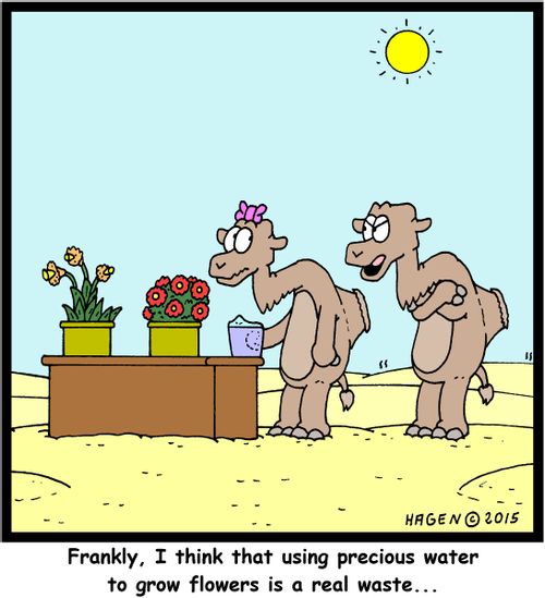 "Frankly, I think that using precious water to grow flowers is a real waste..."