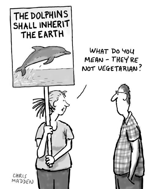 "What do you mean - dolphins aren't vegetarian?"