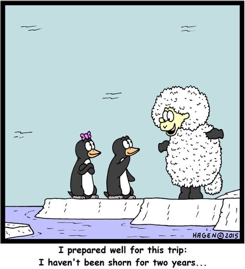 "I prepared well for this trip: I haven't been shorn for two years..."