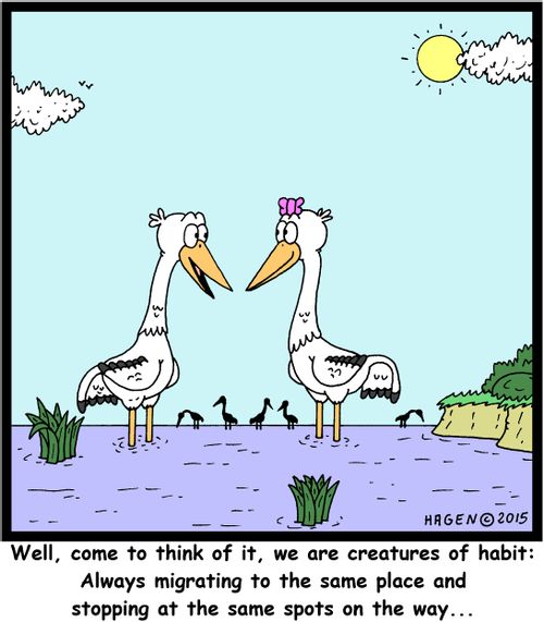 "Well, come to think of it, we are creatures of habit: Always migrating to the same place and stopping at the same spots on the way..."