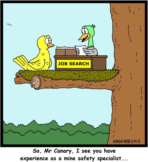 "So, Mr Canary, I see you have experience as a mine safety specialist..."