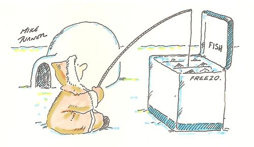 Frozen Fish