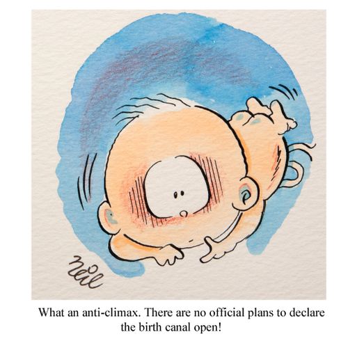 "What an anti-climax. There are no official plans to declare the birth canal open!"