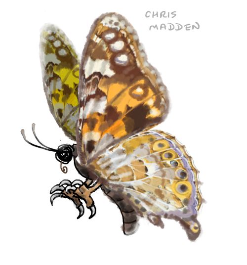 Butterfly with talons