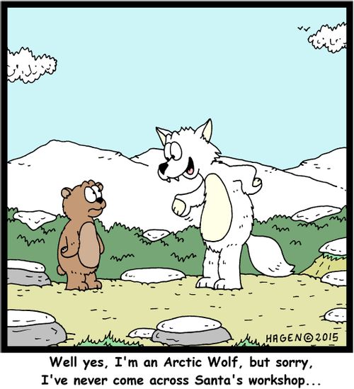 "Well yes, I'm an Arctic Wolf, but sorry, I've never come across Santa's workshop..."