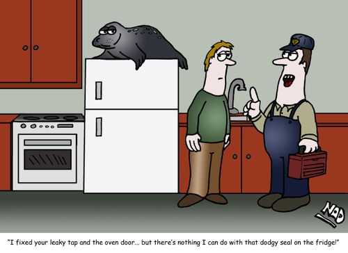 "I fixed your leaky tap and the oven door... but there's nothing I can do with that dodgy seal on the fridge!"
