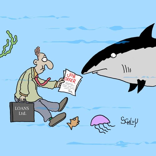 Loans company offers a shark a job.
