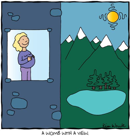 Womb with a View