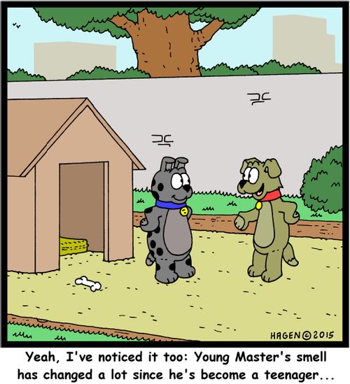 "Yeah, I've noticed it too: Young Master's smell has changed a lot since he's become a teenager..."