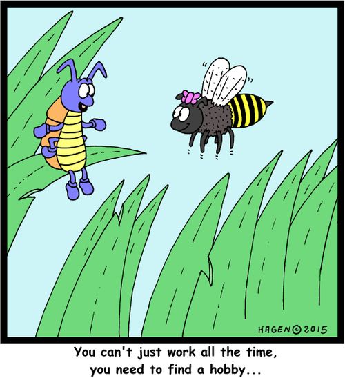 "You can't just work all the time, you need to find a hobby..."