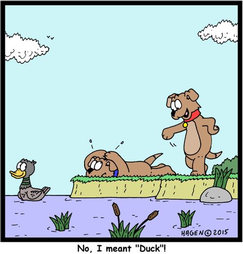 "No, I meant 'Duck'!"