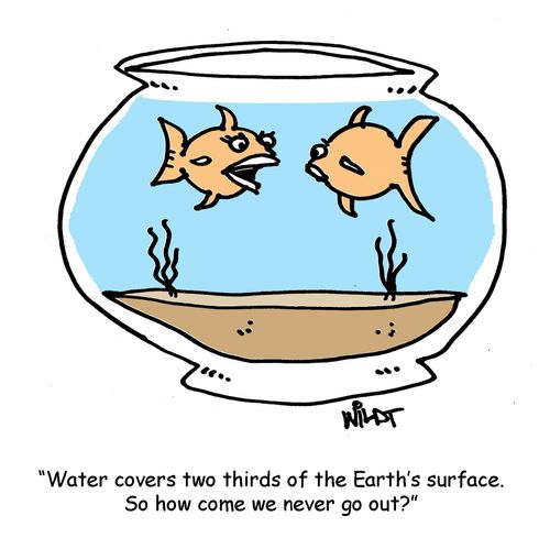 "Water covers two thirds of the Earth's surface. So how come we never go out?"