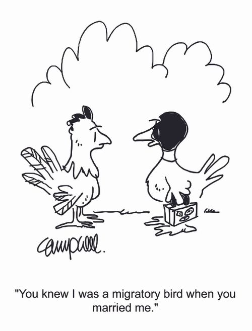 "You knew I was a migratory bird when you married."