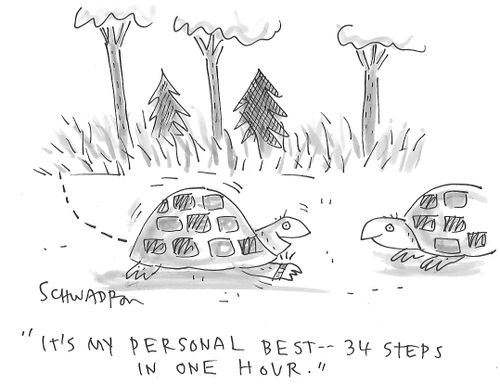 "It's my personal best - 34 steps in one hour."