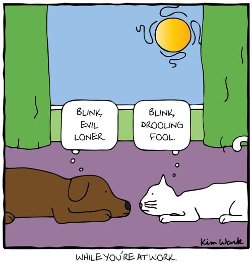 Blinking contest between dog and cat.
