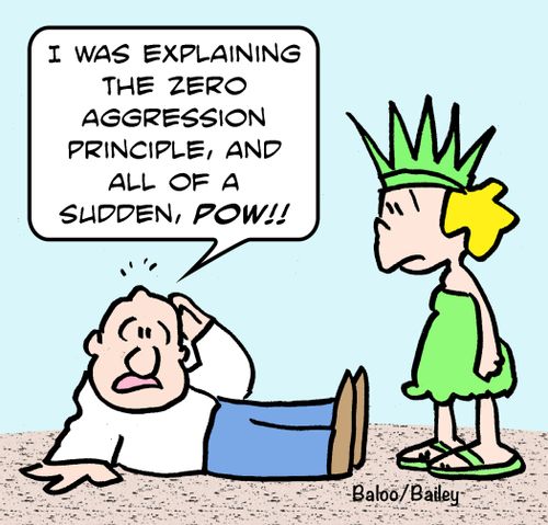"I was explaining the zero aggression principle, and all of a sudden, POW!!"