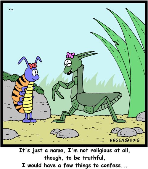 "It's just a name, I'm not religious at all, though, to be truthful, I would have a few things to confess..."