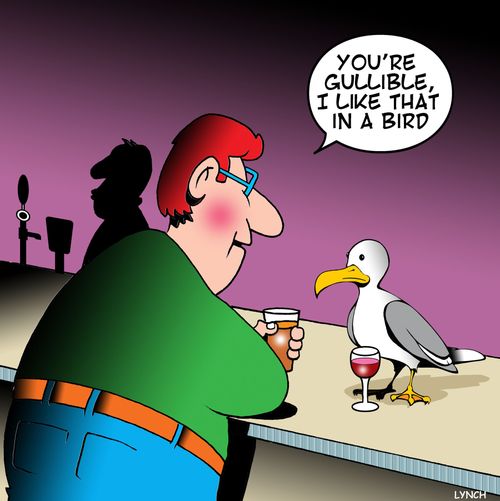 "You're gullible, I like that in a bird."