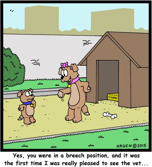 "Yes, you were in a breech position, and it was the first time I was really pleased to see the vet..."