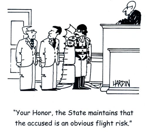 "Your Honor, the State maintains the accused is an obvious flight risk."