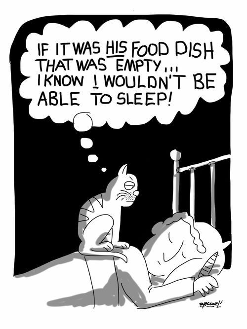 "If it was HIS food dish that was empty... I know I wouldn't be able to sleep!"